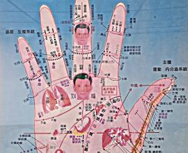 在台中 中國醫 美德大樓 的 手部穴道圖(右手)