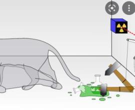薛丁格的貓 薛定谔的猫 我覺得最好的解釋 - 微觀 與 宏觀 原本就是一體，只是觀察的方式不同