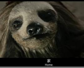 [搞笑推薦] 殺人樹懶 Slotherhouse - 有種 驚聲尖笑 的感覺 吐嚎